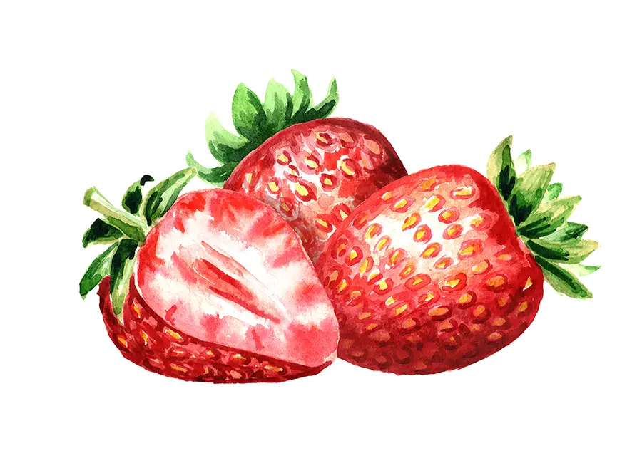 Frische Erdbeeren Fuldabrück