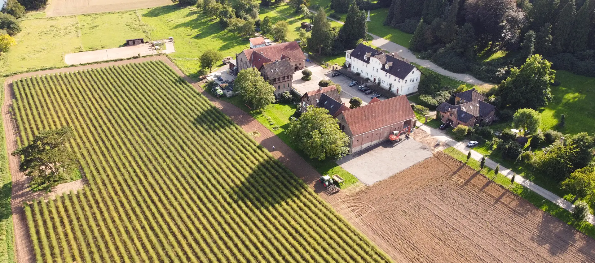 Spargel und Erdbeeren vom Gut Freienhagen – Fuldabrück